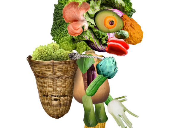 Veggie Man
