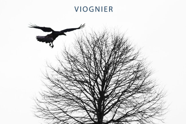 Wine Label - Viognier